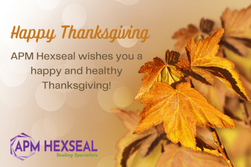 Happy Thanksgiving from APM Hexseal
